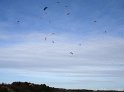 DSC09302