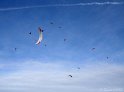DSC09303