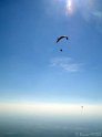 DSC09991