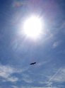 DSC00293_