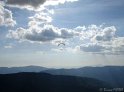 DSC00367