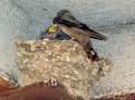 DSC01432_