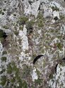 DSC03201