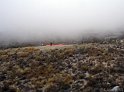 DSC03375
