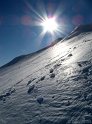 IMG_9152