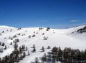 DSC05447