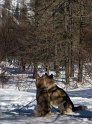 IMG_9483_