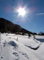 IMG_9487