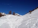 IMG_9498