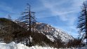 IMG_9569