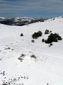 IMG_9607