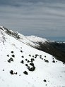 IMG_9610