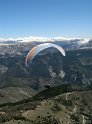 IMG_3784