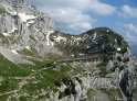 IMG_5010