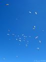 IMG_5889