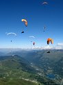 IMG_5919