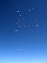 IMG_6017