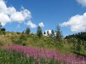 IMG_6562