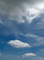 IMG_6599