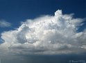 IMG_7638