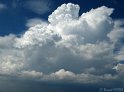 IMG_7649