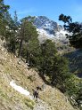 IMG_0646