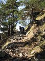 IMG_0647