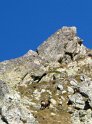 IMG_0656