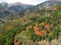 IMG_0769