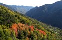 IMG_0780