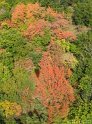IMG_0784