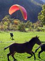 IMG_0810