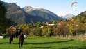 IMG_0840_