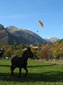 IMG_0841