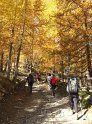 IMG_1002