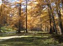 IMG_1017