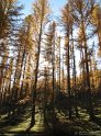 IMG_1024