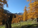 IMG_1067