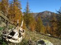 IMG_1076