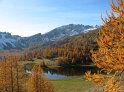 IMG_1116