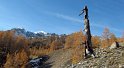 IMG_1157_