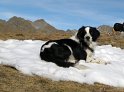 IMG_1207