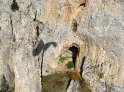 IMG_1410