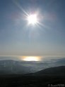 IMG_2341