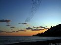 IMG_2764