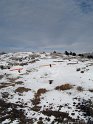 IMG_4764