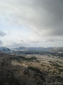 IMG_4881