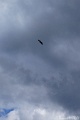 DSC01944