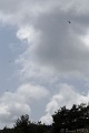 DSC04896