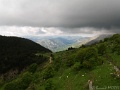 IMG_0041